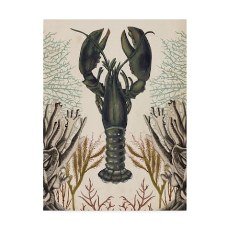 Naomi Mccavitt 'Antiquarian Menagerie Lobster' Canvas Art,14x19